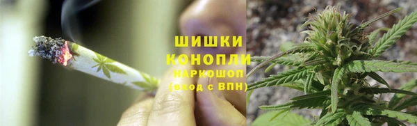 гидропоника Гусиноозёрск