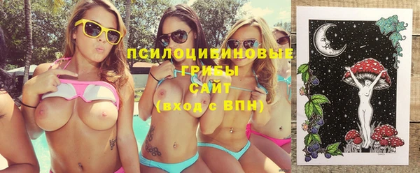 гидропоника Гусиноозёрск