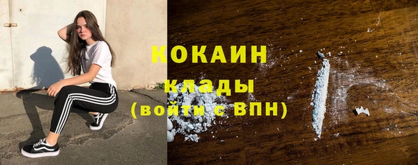гашик Володарск