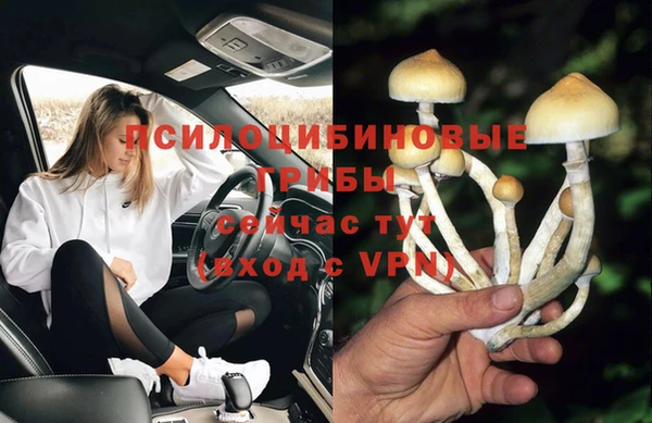 спайс Вяземский