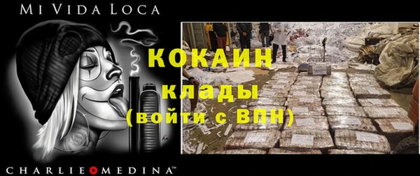 гидропоника Гусиноозёрск