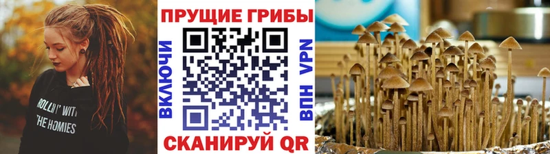 Галлюциногенные грибы Magic Shrooms  Данилов 